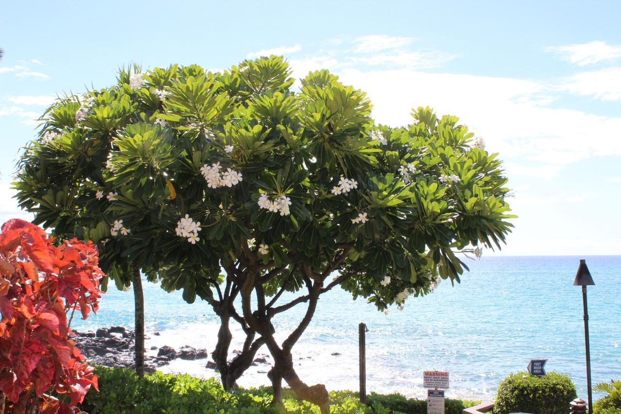 Kuleana Resort 618 Lahaina Eksteriør bilde